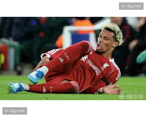 埃基蒂克跟腱重伤赛季报销，确定无缘2026年美加墨世界杯